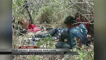 Four Arrested Attempting to Traffic Marijuana