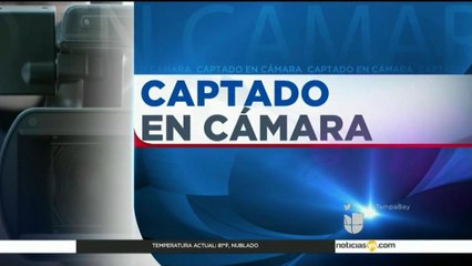 Impune madre que hizo que una serpiente mordiera a su hija