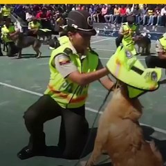 Agentes caninos tienen ceremonia de retiro en Ecuador