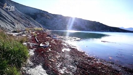 Melting Glaciers May Leave Behind the Key to Getting Rid of Atmospheric CO2
