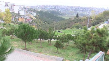 Hamile kadının karnından aldıkları cenini ormanlık alana attılar
