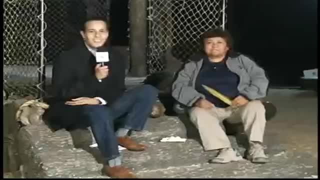 DATOS CURIOSOS DE ANIMALES