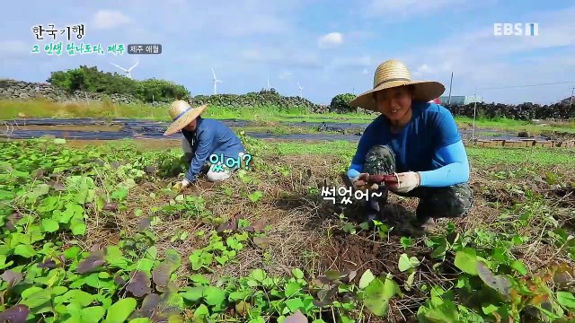 한국기행 - Korea travel_그 인생 탐나도다, 제주 4부-제주도 너도 내 운명_#002