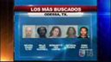 Los mas buscados de la semana