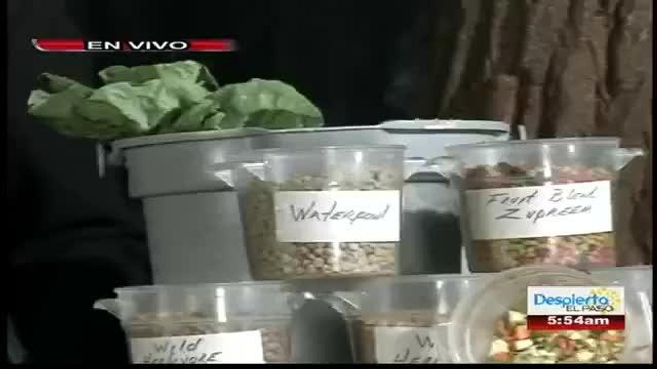 ALIMENTOS DE LOS ANIMALES