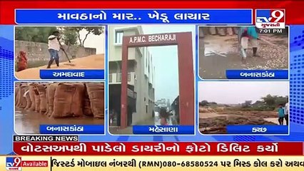 Farmers from Banaskantha, Mehsana, Ahmedabad and other areas suffer due unseasonal rainfall _TV9News