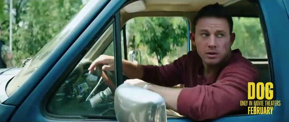 DOG - Bande-annonce de la comédie de Channing Tatum