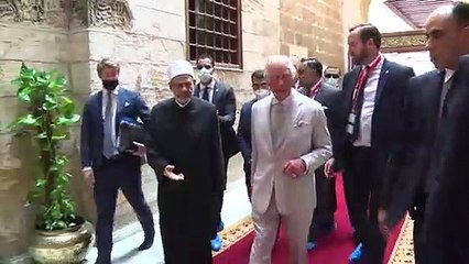 شيخ الأزهر يبحث مع الأمير تشارلز أزمة تغير المناخ وكيفية مواجهتها