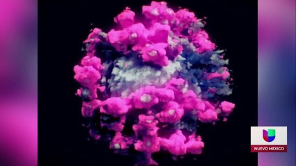 Noticias Nuevo Mexico 5pm 012021