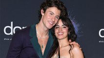 Camila Cabello and Shawn Mendes Officially End Their Romantic Relationship