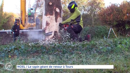 NOËL / Le sapin géant de retour à Tours