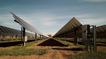 Farmer Grows Crops, Produces Renewable Energy At The Same Time