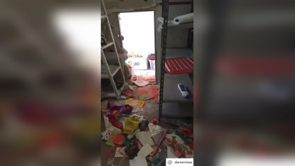 ONG argentina que junta juguetes para niños internados pide ayuda tras robo