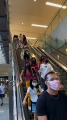 Boyfriend Carries Dog Down the Mall Escalator