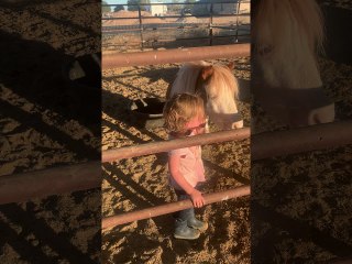 Girl Isn't Happy That Tonto the Unicorn Rolled After His Bath