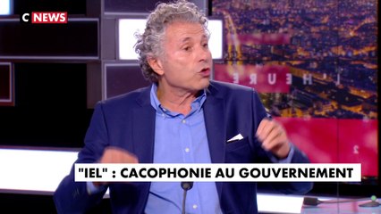Me Gilles-William Goldnadel : «C’est considérer le dictionnaire comme un diktat»