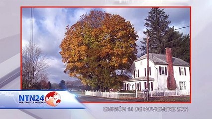 CÁPSULA EFECTO NAÍM - 19 de NOV de 2021