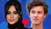 Shawn Mendes & Camila Cabello Split After 2 Years Of Dating