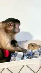 Gaitlyn Rae & Trudy Mae snack session!