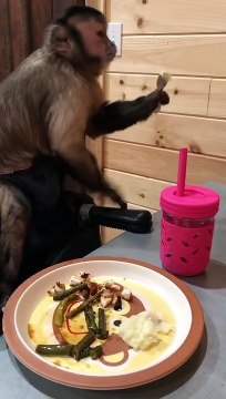 Long video for those who want longer! Longer version of tiktok dinner with Gaitlyn Rae!