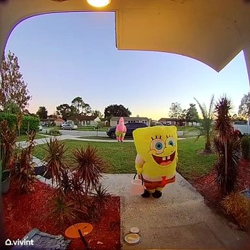Spongebob Costume Makes Ringing Doorbell Difficult
