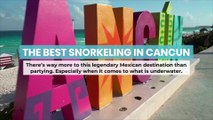 The Best Snorkeling in Cancun