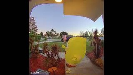 Spongebob Costume Makes Ringing Doorbell Difficult