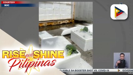 Nasa P66-M halaga ng smuggled agri products, nasabat sa Port of Subic