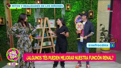 ¿Se pueden donar riñones al sexo opuesto?