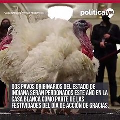 Perdonan a dos pavos originarios del Estado de Indiana