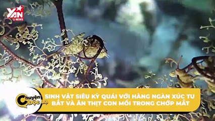 Sinh vật siêu kỳ quái với hàng ngàn xúc tu bắt và ăn thịt con mồi trong chớp mắt | Điện Ảnh Net