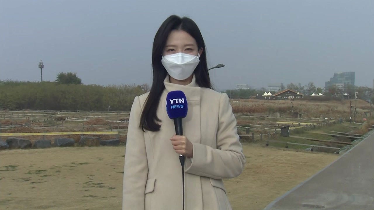 [날씨] 오늘 포근하지만 공기 탁해...주말 맑고 온화 / YTN