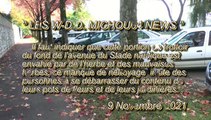 LES W-D.D. MICHOU64 NEWS - 9 NOVEMBRE 2021 - PAU - DES PERSONNES VIDENT LE CONTENU DE LEURS POTS DE FLEURS ENTRE LES ARBRE DE L'AVENUE DU STADE NAUTIQUE