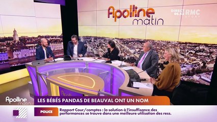Les histoires de Charles Magnien  :  Noms des ébbés pandas de Beauval, classement des noms des animaux de compagnie - 19/11