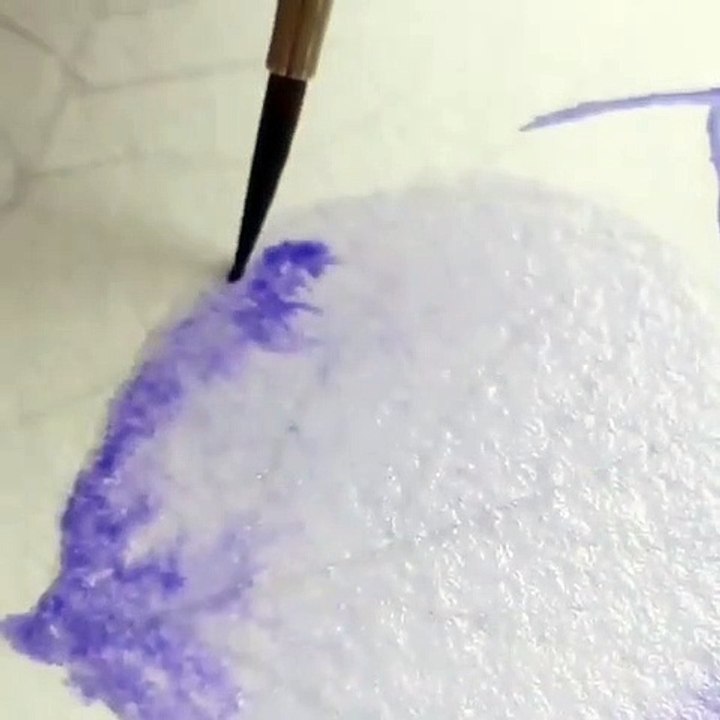 Drawing  photos and videos Watercolor & Sketch