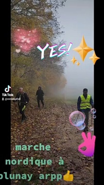 Belle sortie de marche nordique dans la forêt de blunay merci Michel