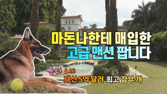 [세상만사] 세계 최고 부자견, 마돈나한테 매입한 호화 저택 팔려고 내놨다 / YTN