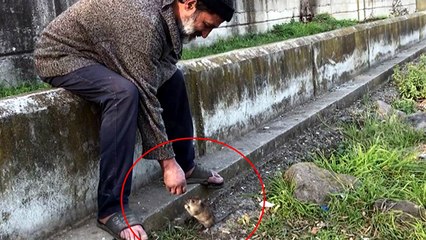 Kimsesiz adam ile farenin dostluğu: Ekmeğini fareyle paylaşıyor