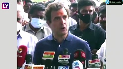 Farm Laws বাতিলে উচ্ছ্বসিত, \'\'অহঙ্কারের পরাজয় সত্যাগ্রহের হাতে\'\', বললেন রাহুল