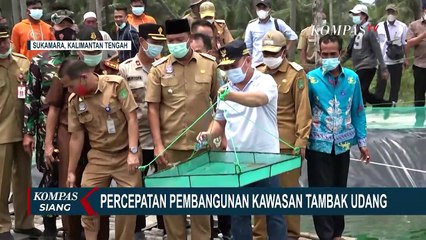 Percepatan Pembangunan Kawasan Tambak Udang Kalimantan Tengah
