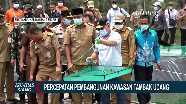 Percepatan Pembangunan Kawasan Tambak Udang Kalimantan Tengah