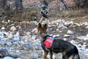 Son dakika gündem: Eren Kış-6 Mercan Dağları Şehit Jandarma Uzman Çavuş Burak Tortumlu Operasyonu başlatıldı