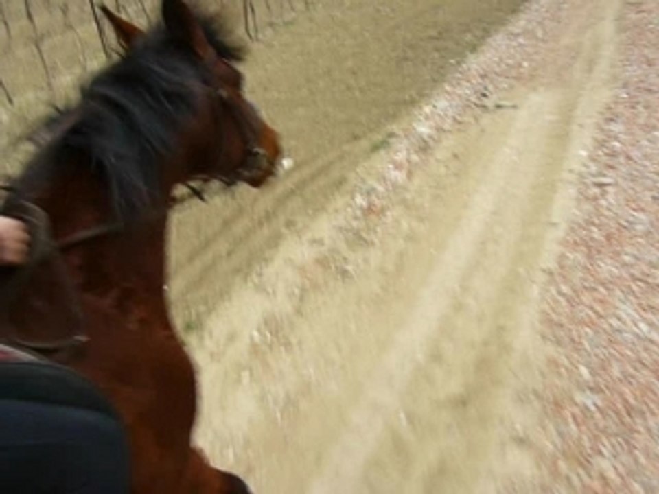 balade 24/02/08
