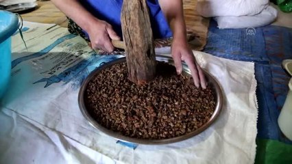 Yaban armutları geleneksel yöntemle yufka ekmek oluyor