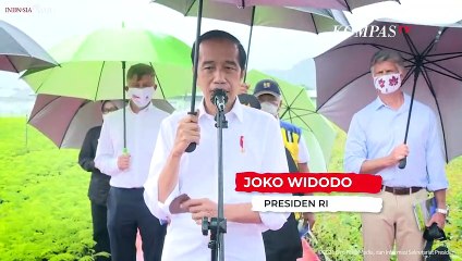 Momen Jokowi Pegang Payung Sendiri di Depan Para Duta Besar