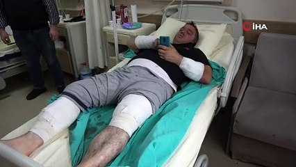 Ayıyı döven Türk! Kendisine saldıran ayıyı pişman etti