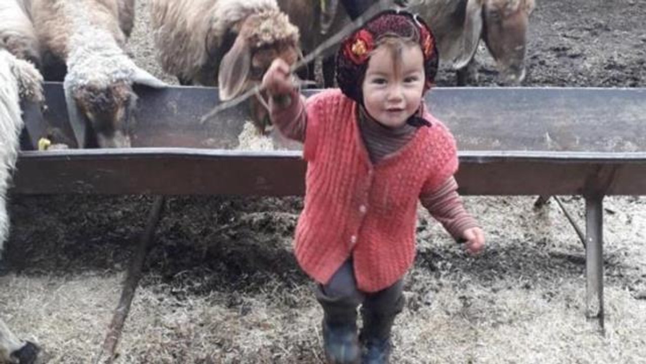 Son Dakika: Mersin'de 10 gündür her yerde aranan 3 yaşındaki Yörük kızı Müslüme'nin cansız bedeni bulundu