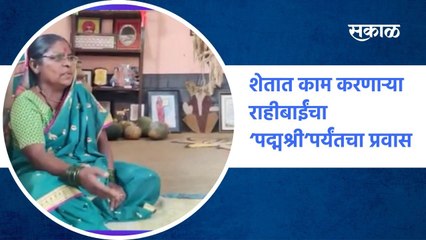 Ahmadnagar ; अहमदनगर : शेतात काम करणाऱ्या राहीबाईंचा ‘पद्मश्री’पर्यंतचा प्रवास ; पाहा व्हिडीओ