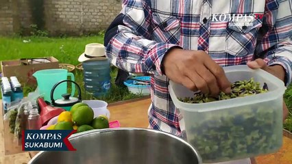 Скачать видео: Olahan Minuman Kesehatan Dari Bunga Telang