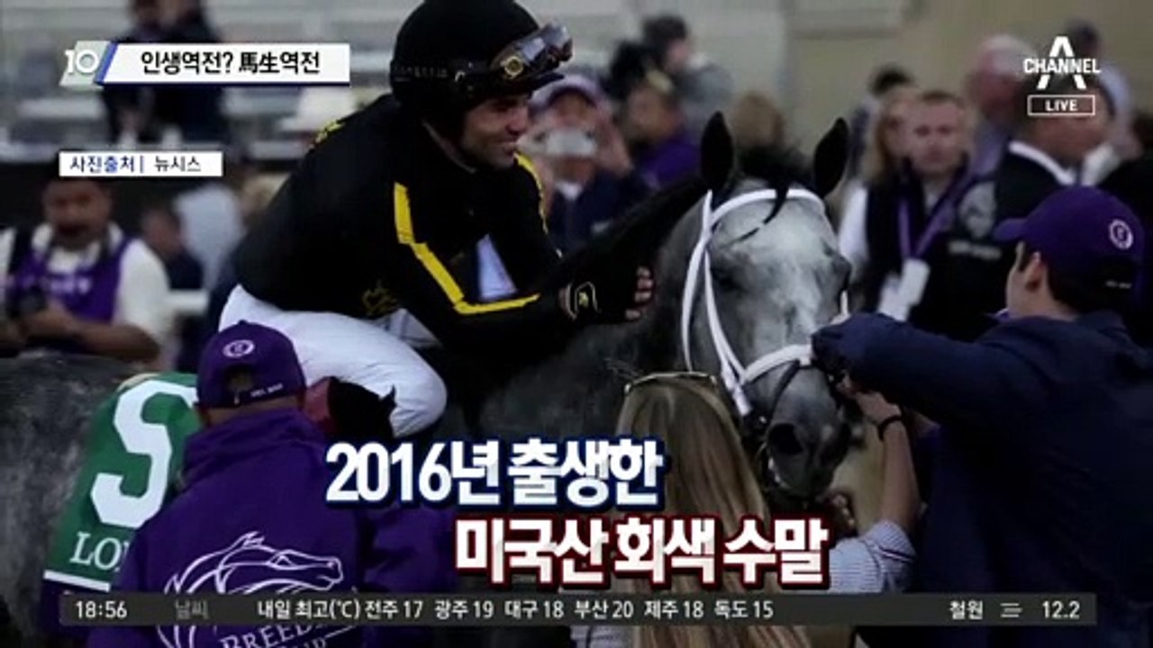 인생역전? 馬生역전